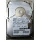 Жесткий диск 18.2Gb IBM Ultrastar DDYS-T18350 Ultra3 SCSI (Климовск)