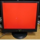 Монитор 19" ViewSonic VA903b (1280x1024) есть битые пиксели (Климовск)
