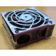 HP 224977 (224978-001) for Proliant ML370 G2/G3/G4 (Климовск).