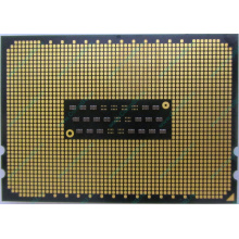 AMD Opteron 6128 OS6128WKT8EGO (Климовск)
