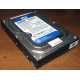 Жесткий диск 500Gb WD WD5000AAKX HP 634605-003 613208-001 7.2k SATA (Климовск)